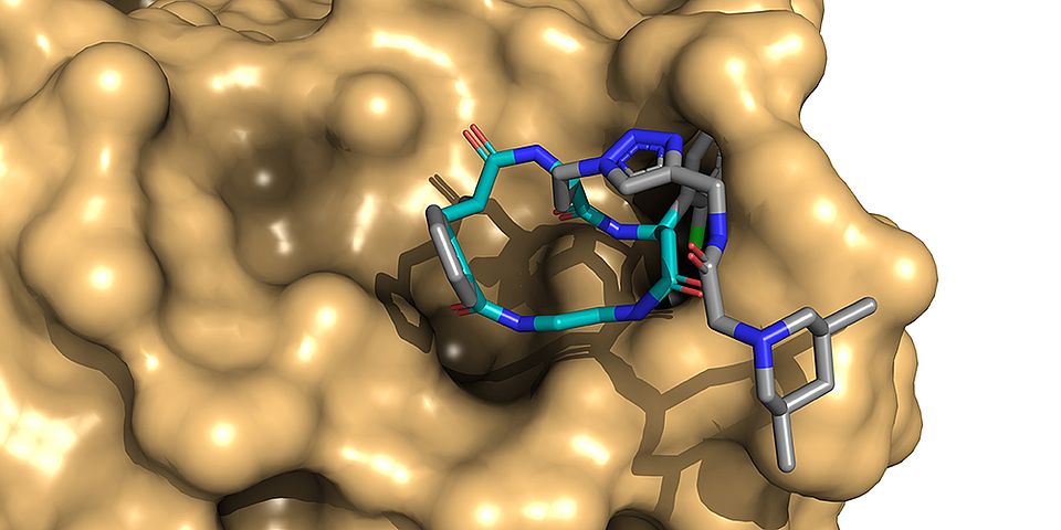 Artistic display of a macrocycle binding to a protein target.