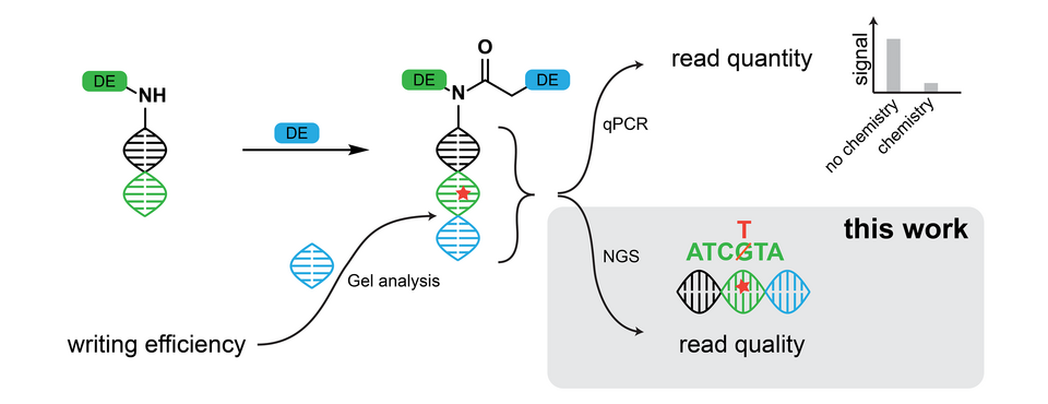 Graphical abstract of the publication.