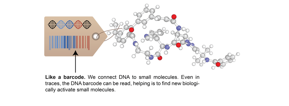 A picture of a small molecule macrocycle connected to a paper label with an abstract drawing of a DNA and a Barcode. The colors in the barcode are reflected in the DNA. A text points to the barcode: "Like a barcode. We connect DNA to small molecules. Even in traces, the DNA barcode can be read, helping is to find new biologically activate small molecules."