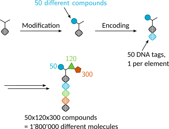 Scheme showing the general setup of a DNA encoded library